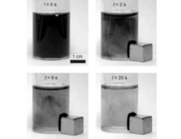 NANO STRUTTURE MAGNETICHE PER L’INFORMATION STORAGE, LA SPINTRONICA E LA NANO MEDICINA