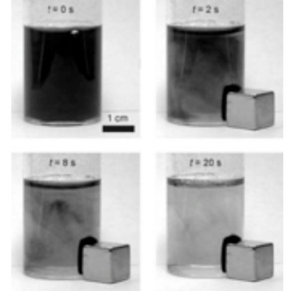 Magnetic nanostructures for information storage, spintronics and nanomedicine
