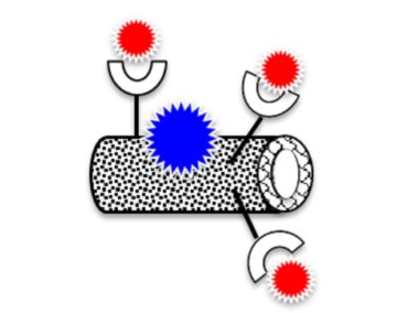 SAMBA
